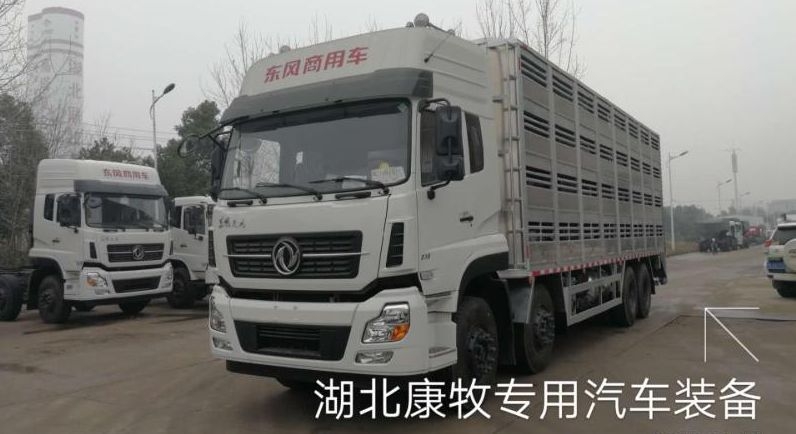 �|�L(f��ng)���\12��ȫ�X�Ͻ������\(y��n)ݔ܇